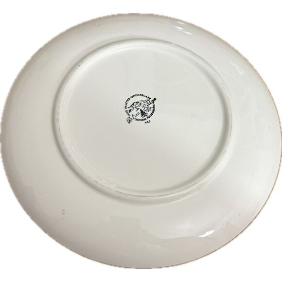 Vintage Blue Ridge Southern Pottery Ivy Luncheon
Plate - Hand Painted - Picture 6 of 8
